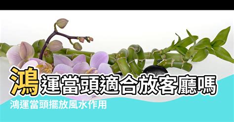 遺照可以放客廳嗎|遺照擺放禁忌指南：妥善安置，好運相伴 